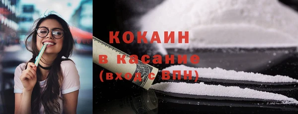 твердый Аркадак