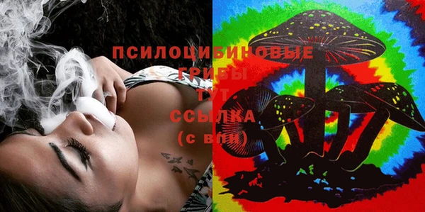 твердый Аркадак