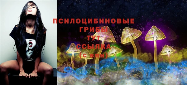 круглые Армянск