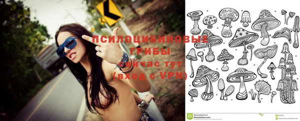 круглые Армянск