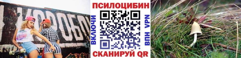 Псилоцибиновые грибы Psilocybe  нарко площадка телеграм  Всеволожск  купить   кракен маркетплейс 